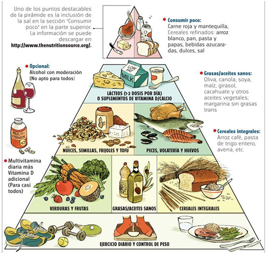 mi manual de dieta